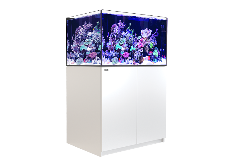 REEFER 300 G2+ WHITE