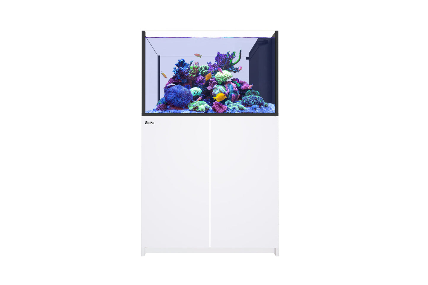 REEFER PENINSULA 350 G2+WHT