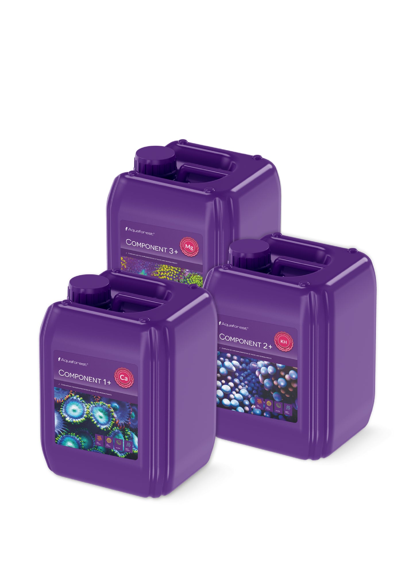 Component 1+2+3+
3x5000 ml