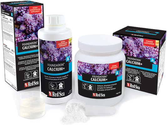 CALCIUM+ (FOUNDATION A) - 1L