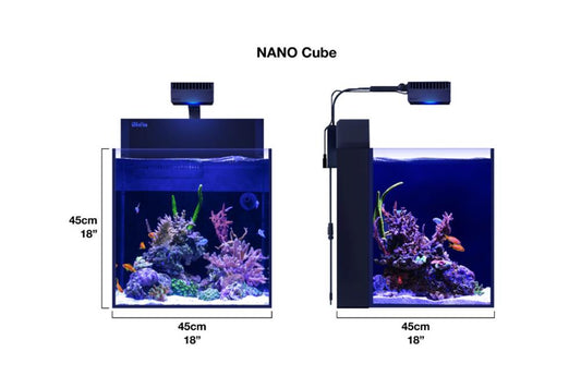 MAX NANO CUBE