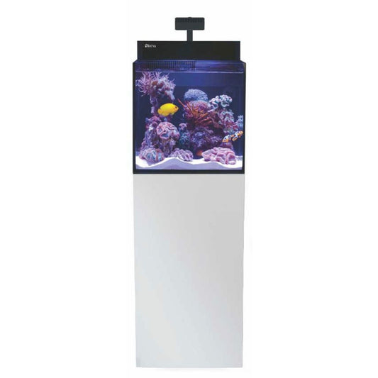 MAX NANO XL G2 cabinet WHT