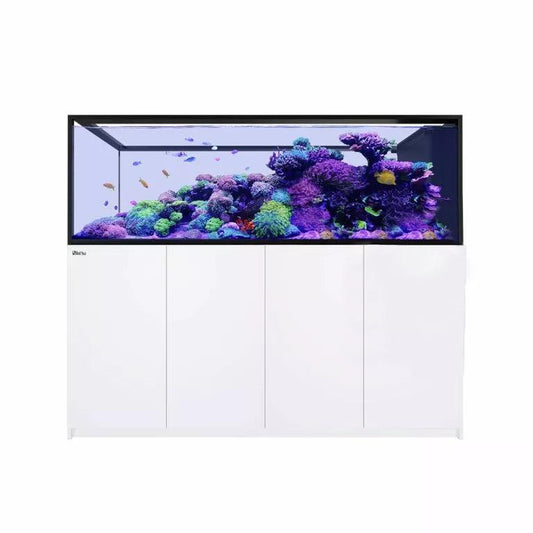 PENINSUAL S 950 G2 AQM+CAB.WHT