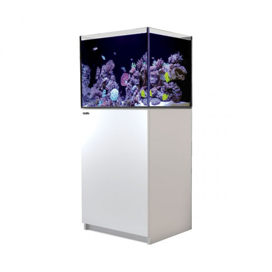 REEFER 170 G2+ AQM-WHITE