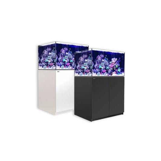 REEFER 250 G2 + AQM WHT
