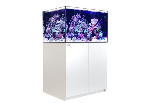 REEFER 300 G2+ WHITE