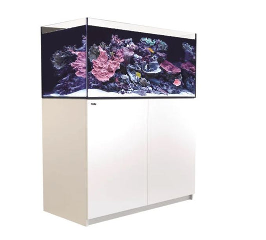 REEFER G2+ 425 AQM&SUMP SYSTEM&CAB. WHITE