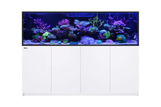 REEFER S-1000 G2 WHT
