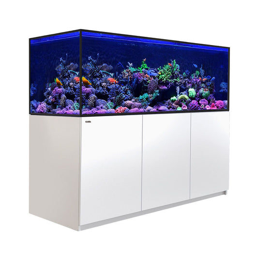 REEFER S-850 G2+ WHT