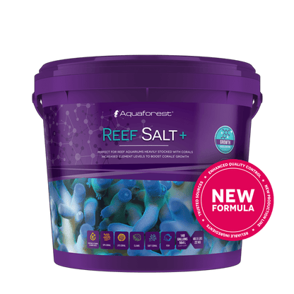 Reef Salt+ 22 kg