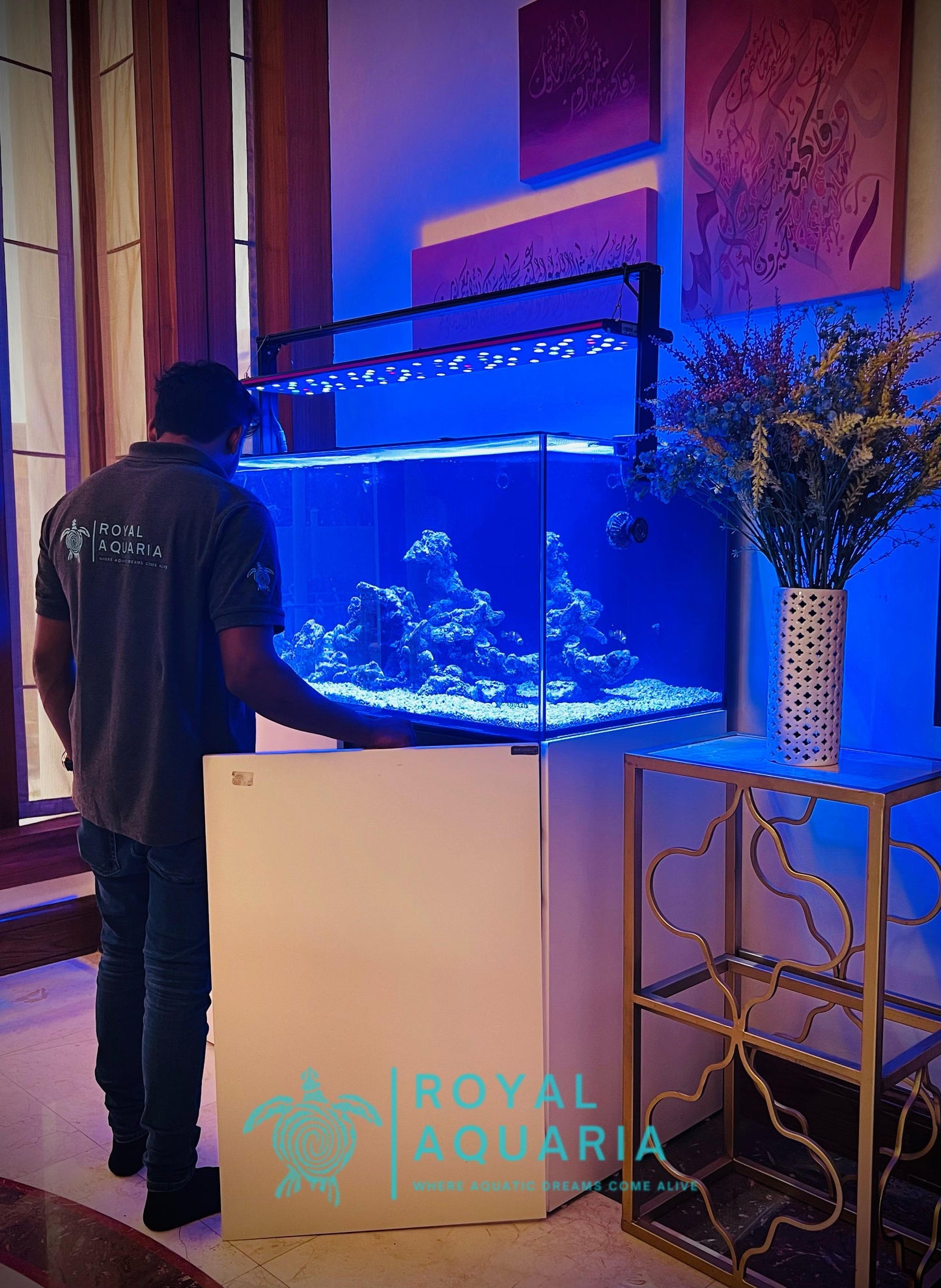 Custom Aquarium Services - Contact for Quote