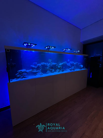 Custom Aquarium Services - Contact for Quote