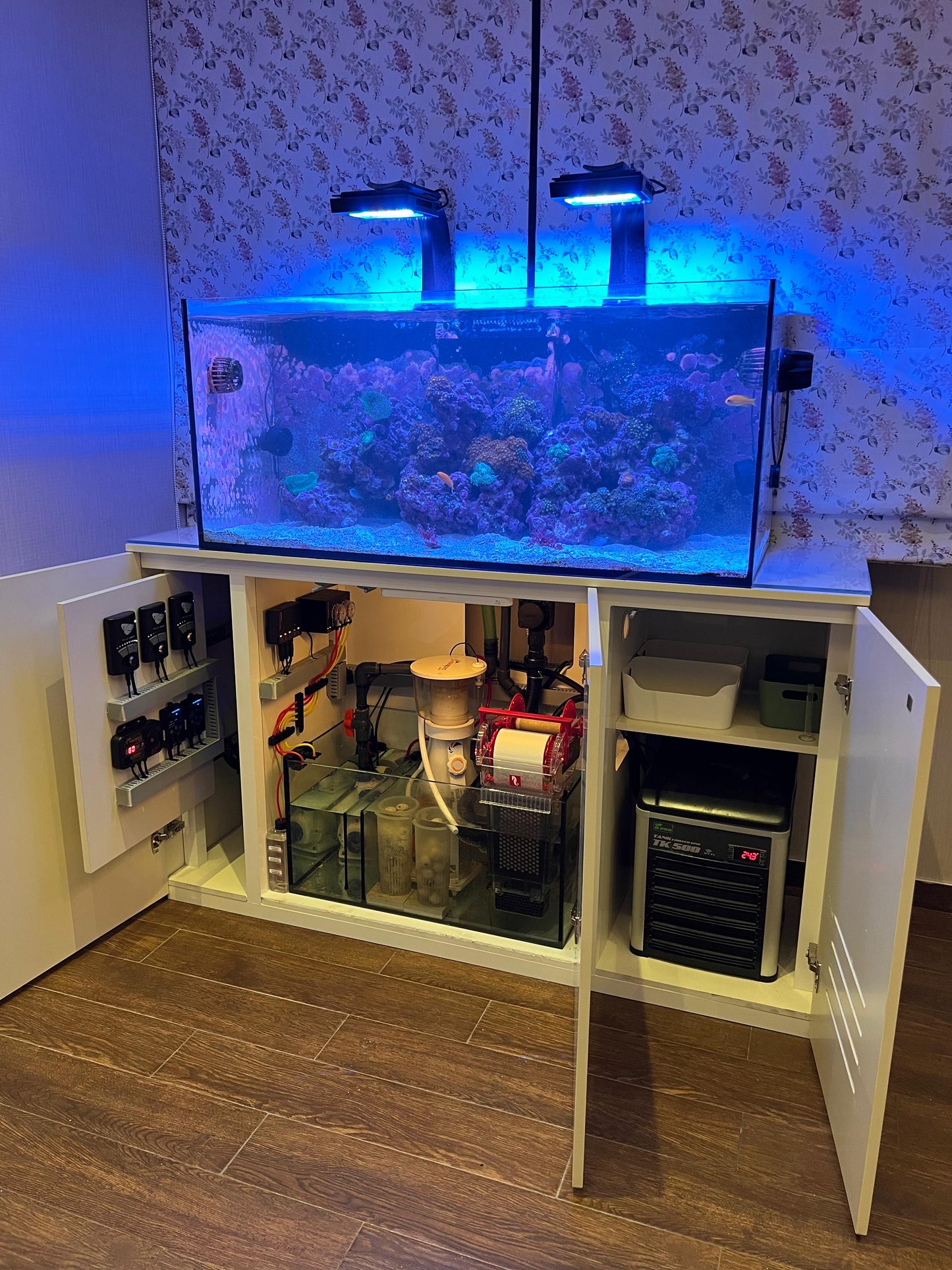 Custom Aquarium Services - Contact for Quote
