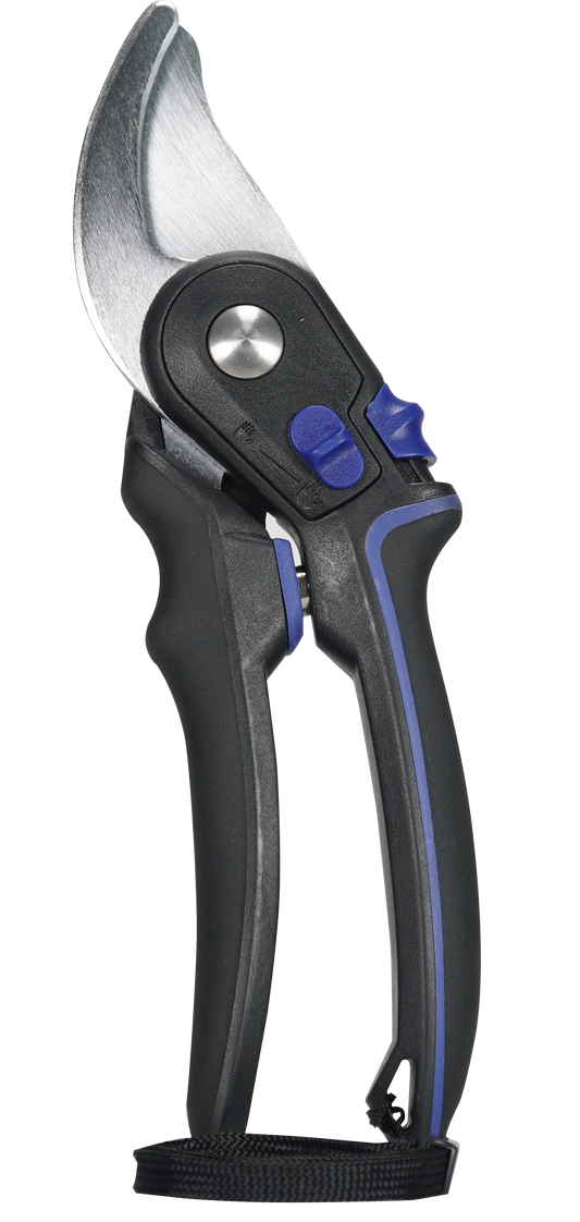 Coral Pruner