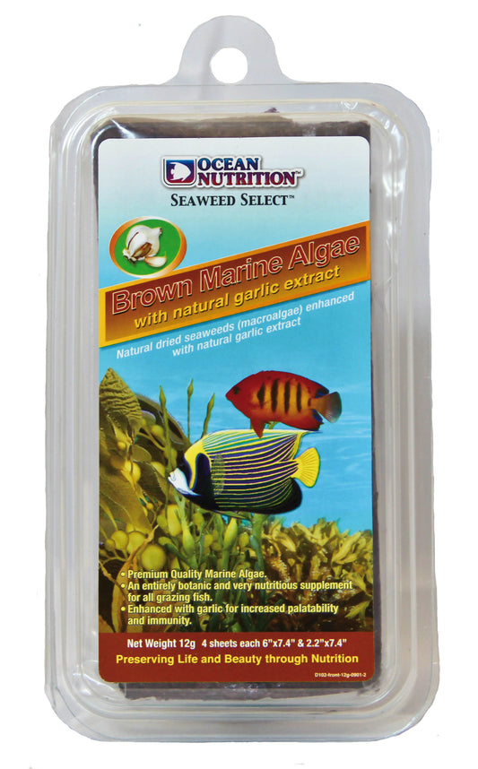 Brown Seaweed 12g