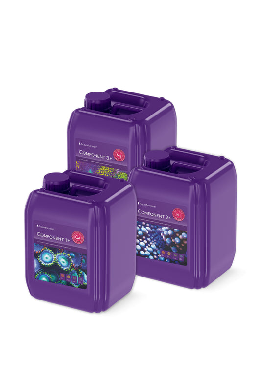 Component 1+2+3+
 3x5000 ml